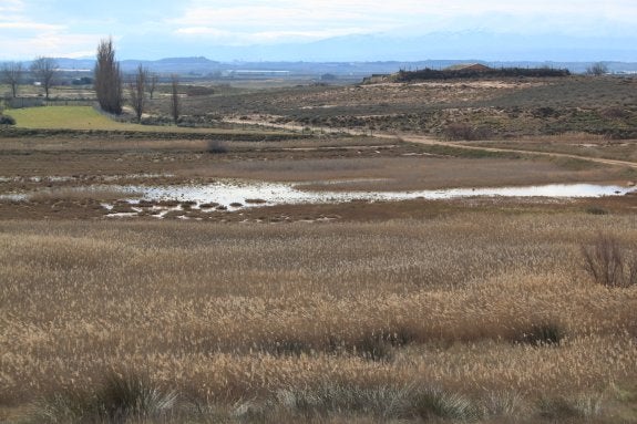 Panorámica de Cáscaras de Cofín, con Alfaro al fondo. :: E.P.