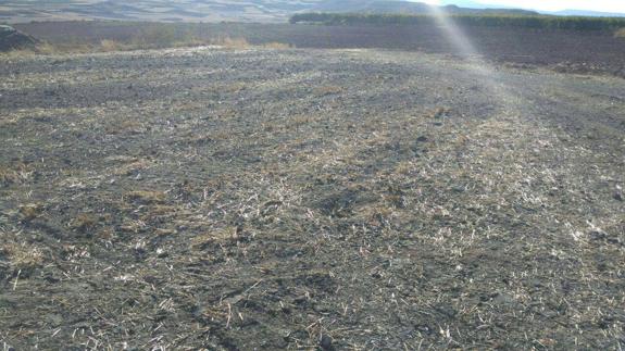 Un compost con plástico