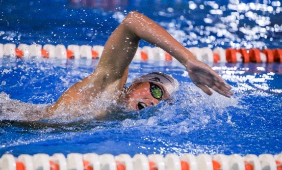 Un nadador, en pleno esfuerzo, durante una prueba de estilo libre.
