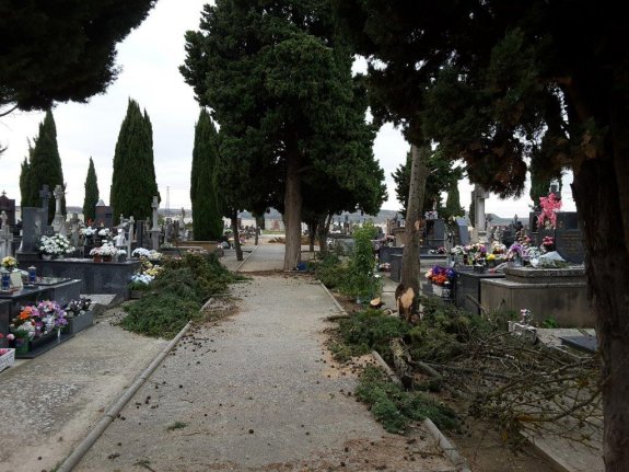 Imágenes del cementerio durante la labor de poda de los árboles. :: ayto. de haro