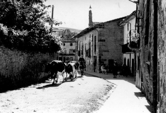 Estampa del Valgañón ganadero