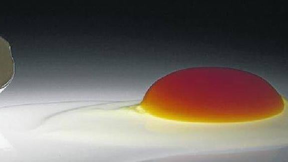 Mitos y certezas sobre los huevos