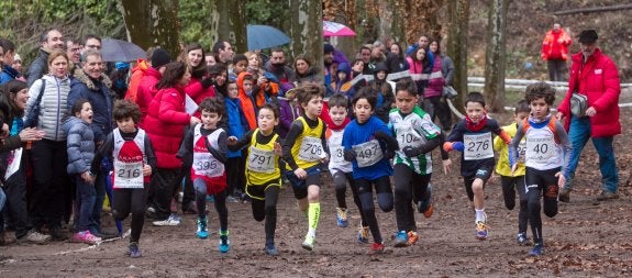 Algunos de los benjamines participantes en una de las últimas carreras de la jornada. :: Díaz uriel