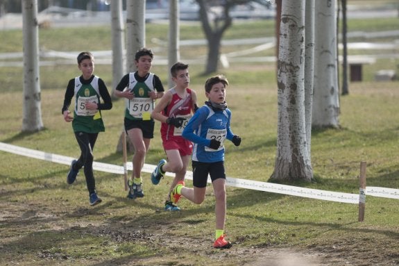 Alevines en una de las pruebas del Cross de Haro. :: F.D.
