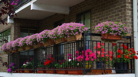 Espectacular terraza adornada con flores. 