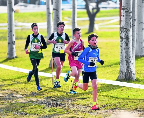 Escolares corriedo una de las pruebas de cross del calendario riojano. :: fernando díaz