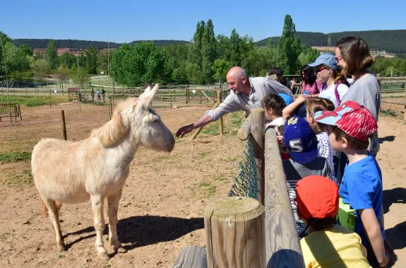 Alumnos del colegio Milenario contemplan a los burros junto a la alcaldesa y el concejal de Medio Ambiente. :: miguel herreros
