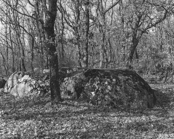 'Túmulo en el bosque', fotografía de José R. Cuervo-Arango en 'Música de cámara'. :: cuervo-arango