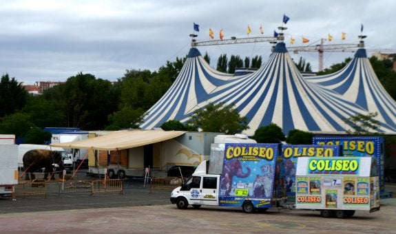 Elefante del 'Coliseo', junto a las carpas instaladas en Calahorra.:: i.á. 