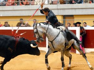 El caballo que mordía a los toros