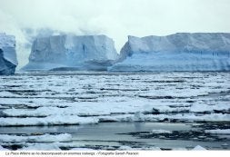 Se desintegra de la placa antártica de Wilkins un sector de dos veces el tamaño del País Vasco