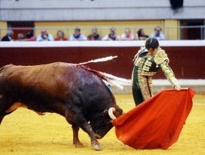 Llega el toreo
