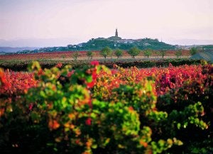 La gran reserva