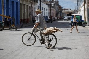 Un hombre transporta a un cerdo vivo. / REUTERS