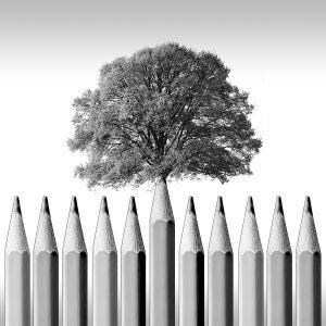 Cambio climático y repoblación forestal