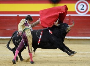 Los toros vuelven a TVR con la figura de José Tomás