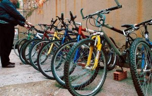 Exposición de bicicletas robadas (o perdidas) en la Jefatura Superior de Policía de La Rioja, pendientes de ser identificadas por sus dueños. ::                             JUSTO RODRÍGUEZ