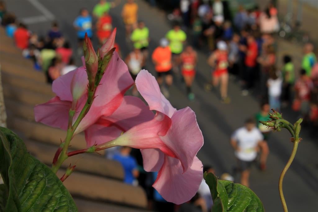 Búscate en la XXXII Mitja Marató d&#039;Alcàsser