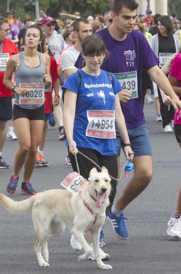 Volta a Peu a Valencia 2014. Búscate (1)