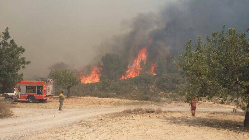 Las imágenes del incendio de Pedralba