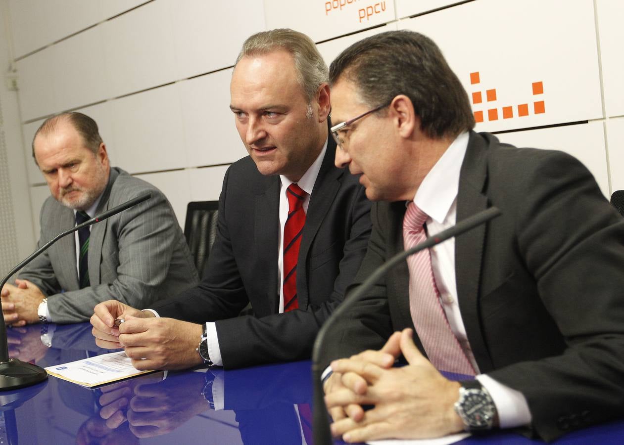 Comité Ejecutivo Regional del PPCV