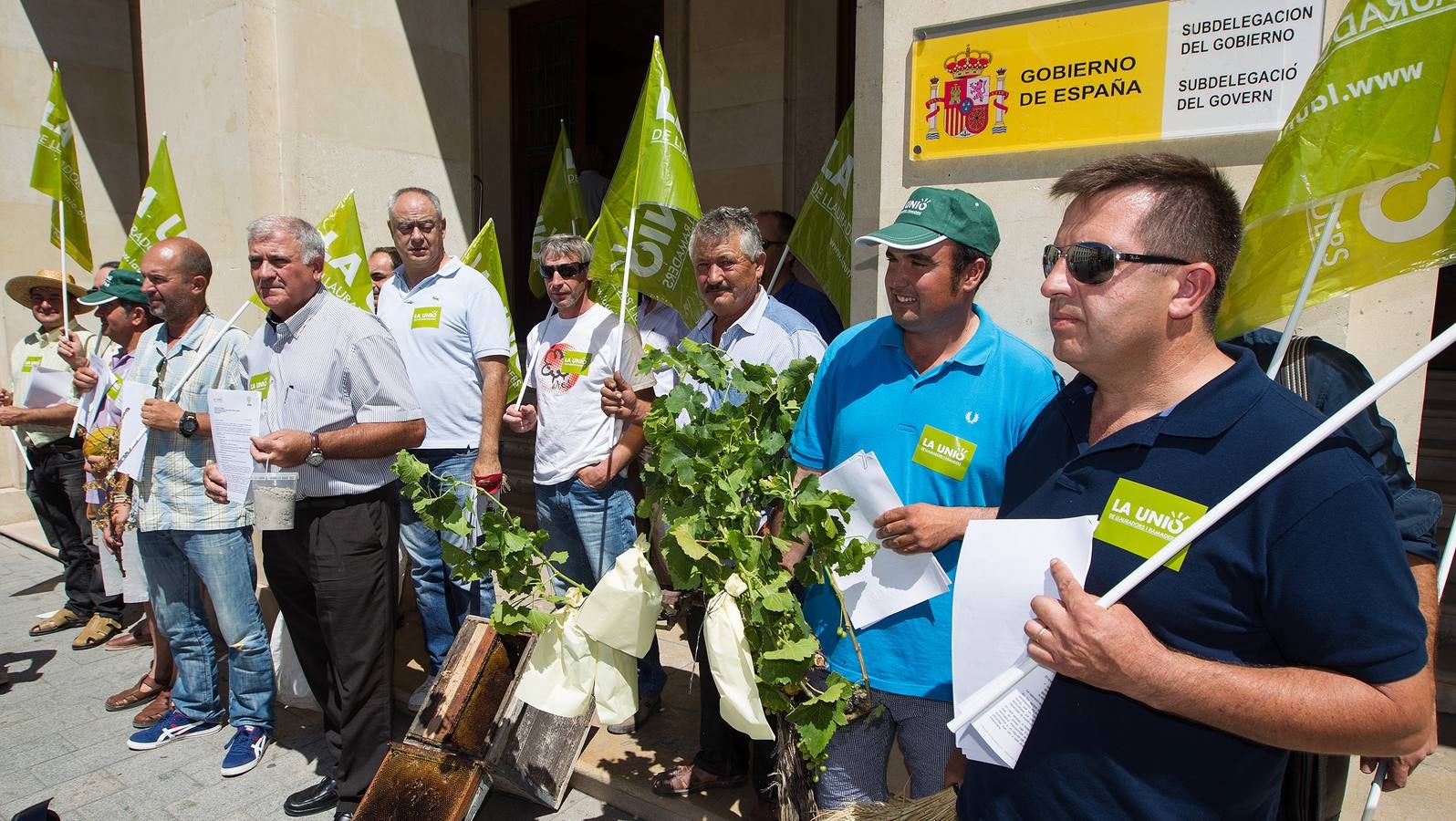 Agricultores de la Unió de Llauradors protestan en la Subdelegación del Gobierno