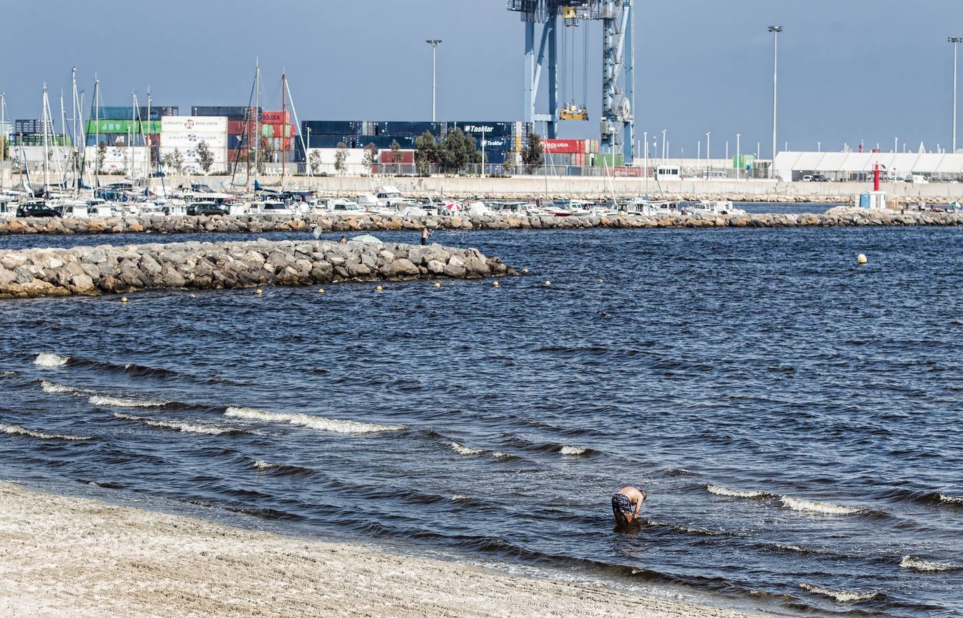 Los análisis descartan que la muerte de peces tuviese que ver con un vertido