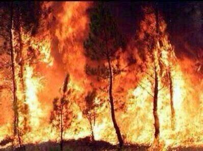 Un incendio en Xàbia y Dénia quema el Montgó y obliga a desalojar casas