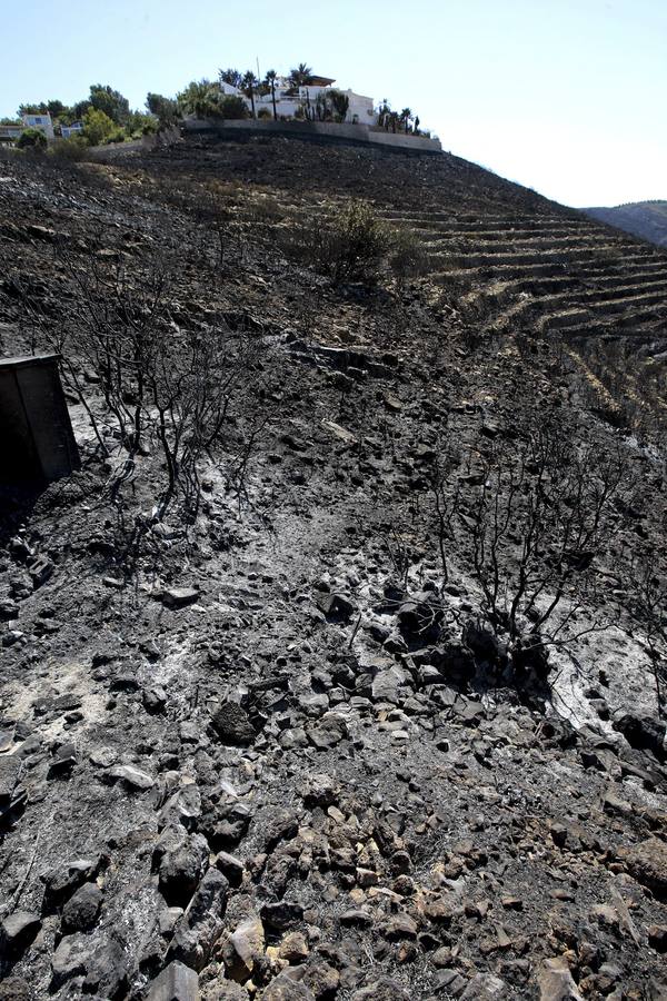 El rastro que ha dejado el incendio en el Montgó