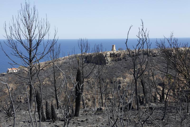 El rastro que ha dejado el incendio en el Montgó