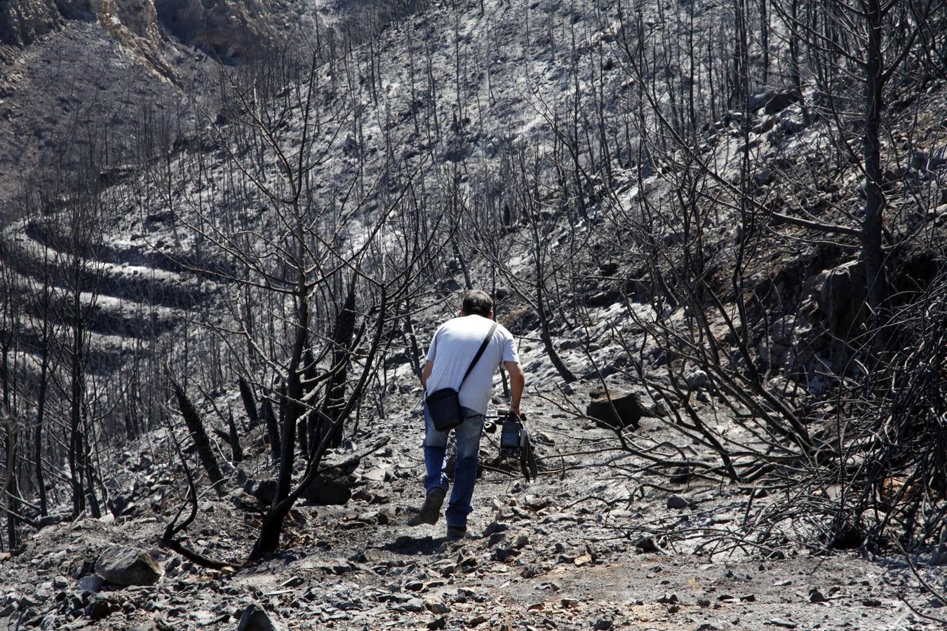 El rastro que ha dejado el incendio en el Montgó