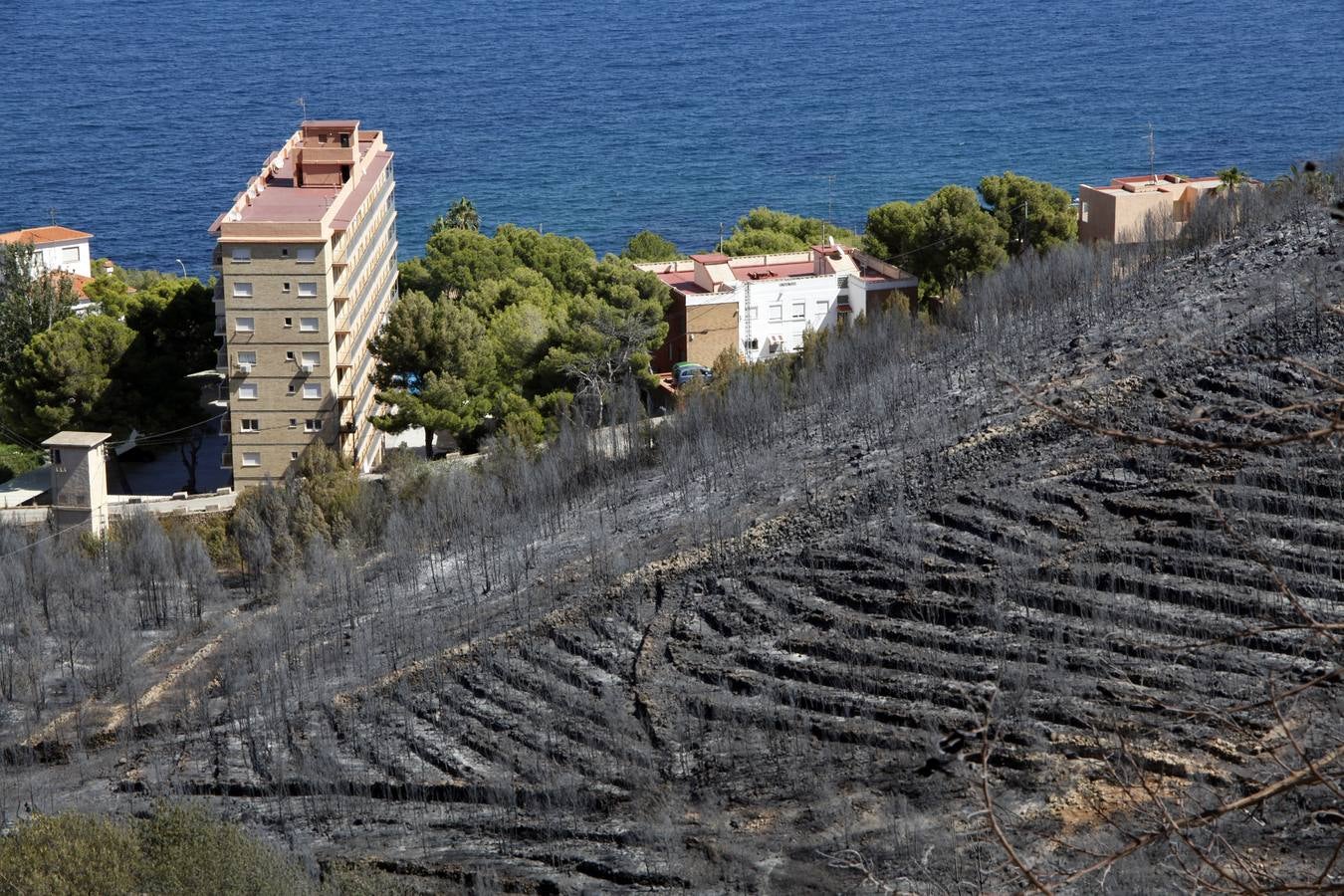 El rastro que ha dejado el incendio en el Montgó