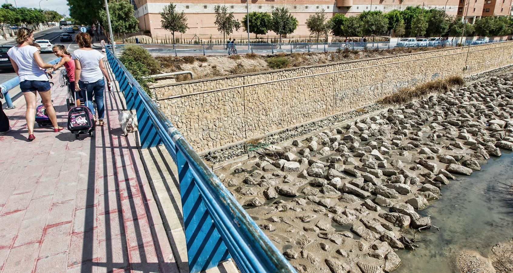 El PSPV denuncia aguas fecales y peces muertos en el Barranco de las Ovejas