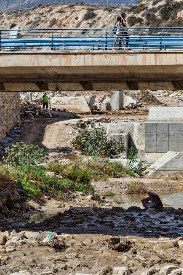 El PSPV denuncia aguas fecales y peces muertos en el Barranco de las Ovejas