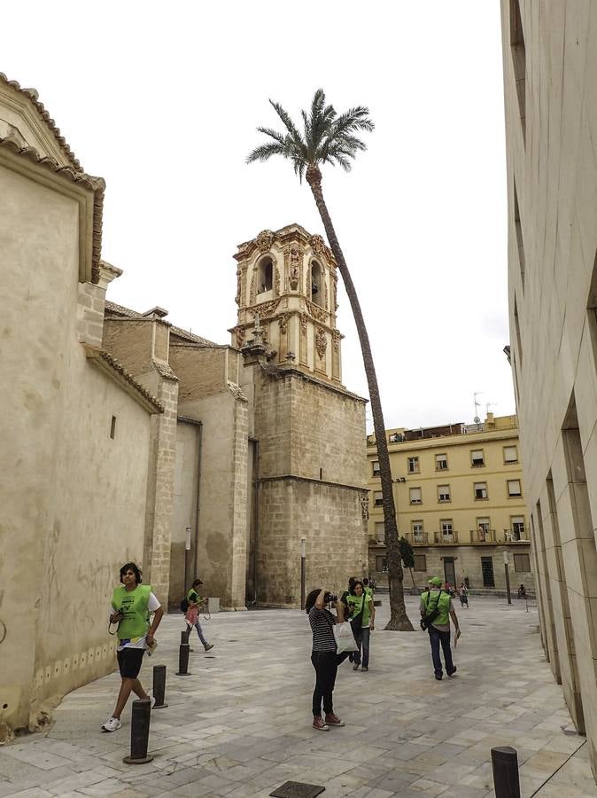 II Maratón Fotográfico de Orihuela laverdad.es