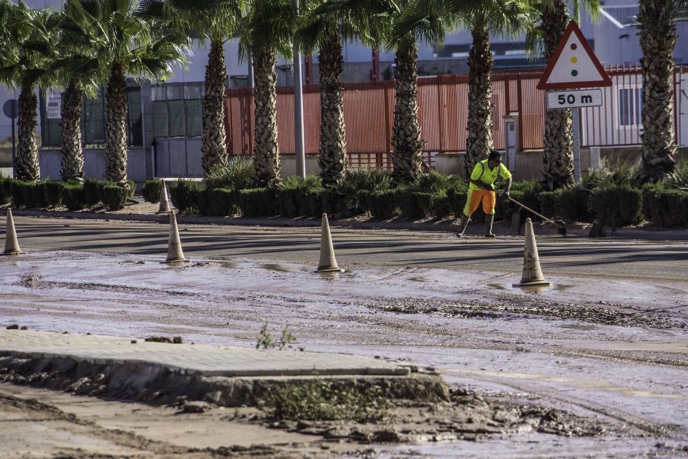 Limpieza de la Nacional 340