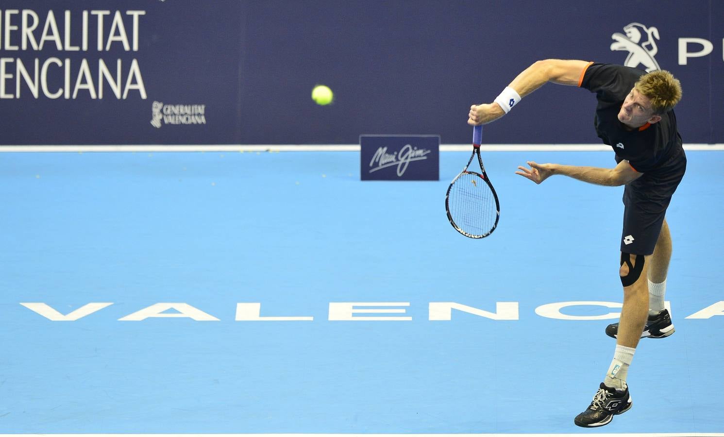 Ferrer y Murray se verán las caras en las semifinales del Valencia Open 500