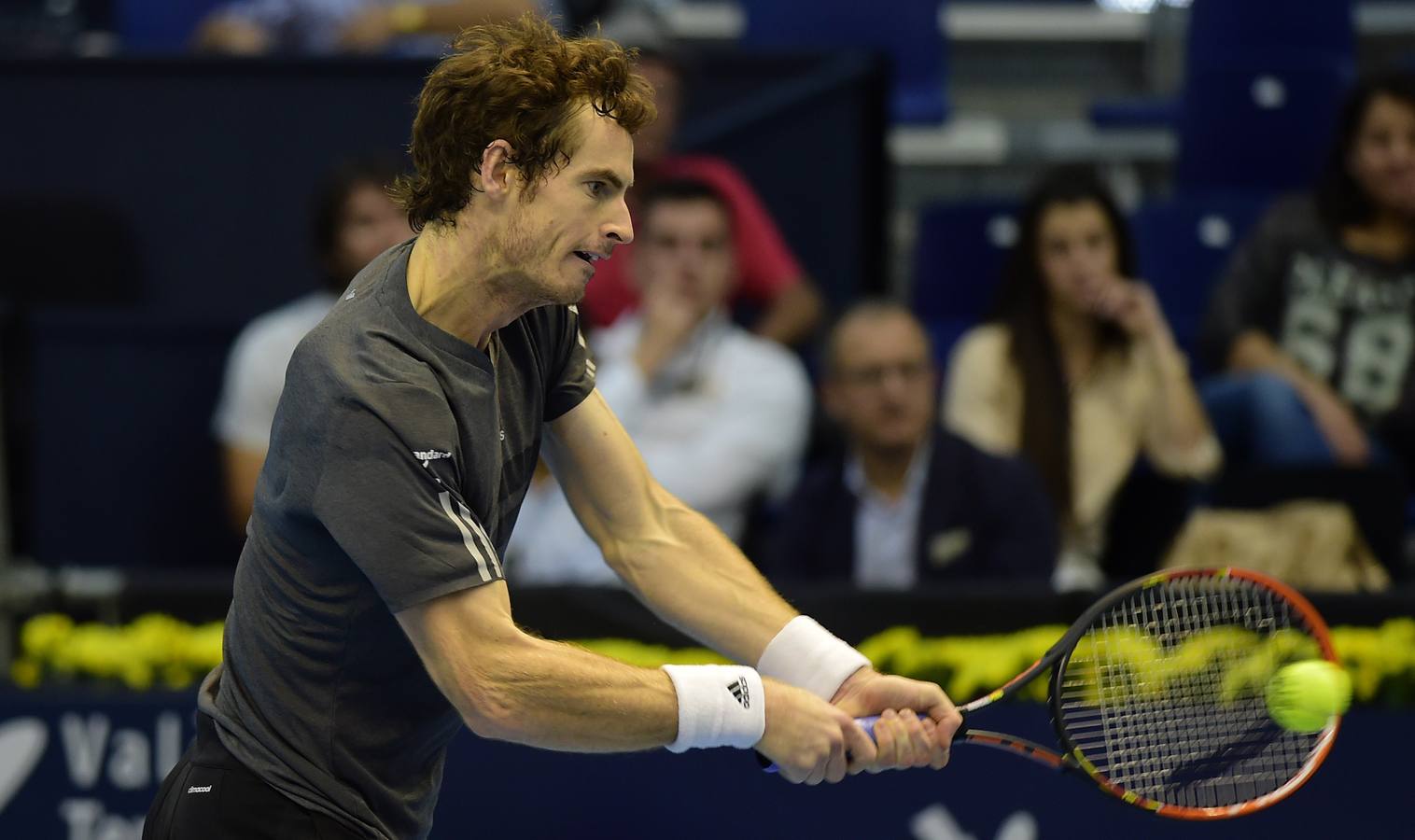 Ferrer y Murray se verán las caras en las semifinales del Valencia Open 500