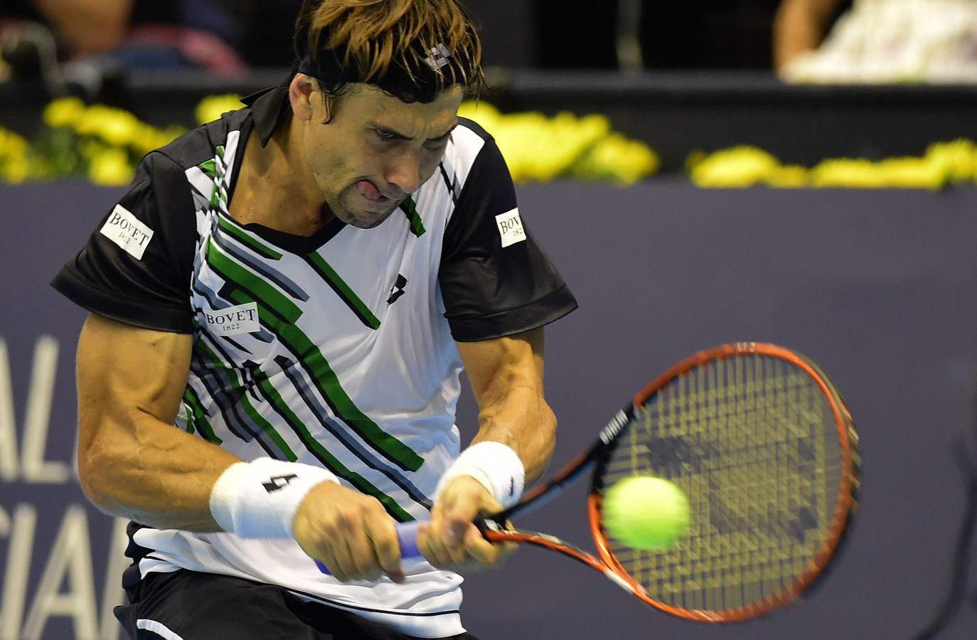 Ferrer y Murray se verán las caras en las semifinales del Valencia Open 500