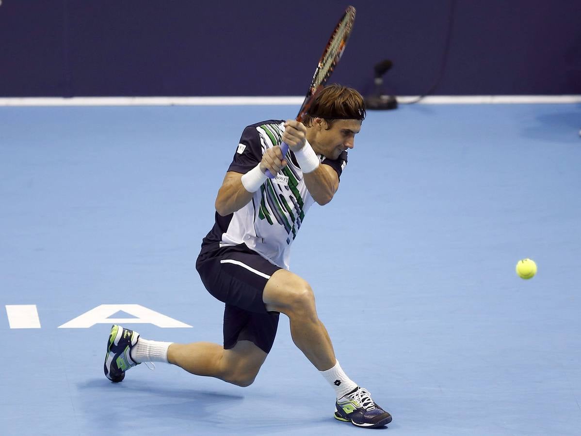 Ferrer y Murray se verán las caras en las semifinales del Valencia Open 500