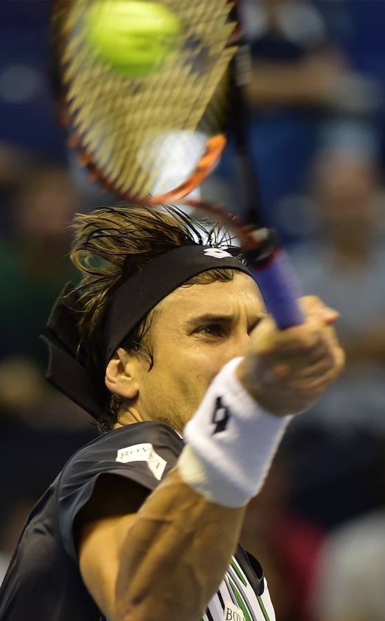 Ferrer y Murray se verán las caras en las semifinales del Valencia Open 500