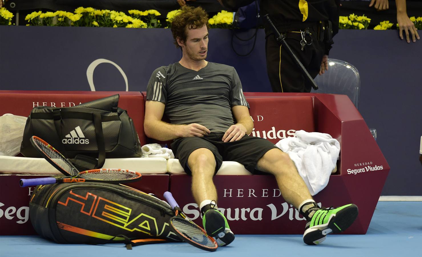 Ferrer y Murray se verán las caras en las semifinales del Valencia Open 500