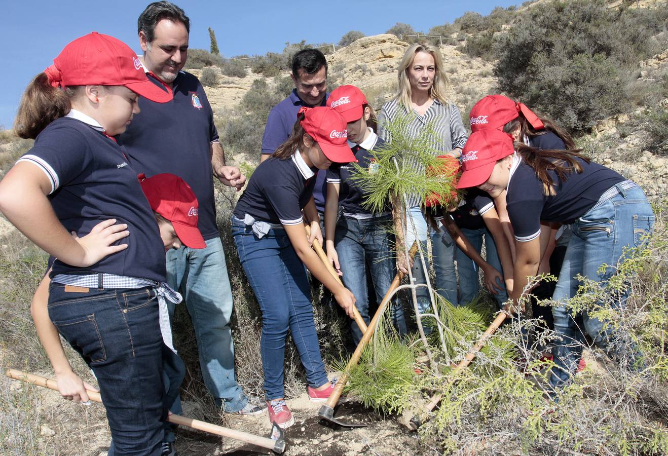 Las Hogueras celebran el Día del Árbol