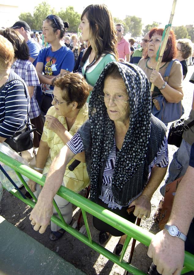 Romería de San Crispín en Elche