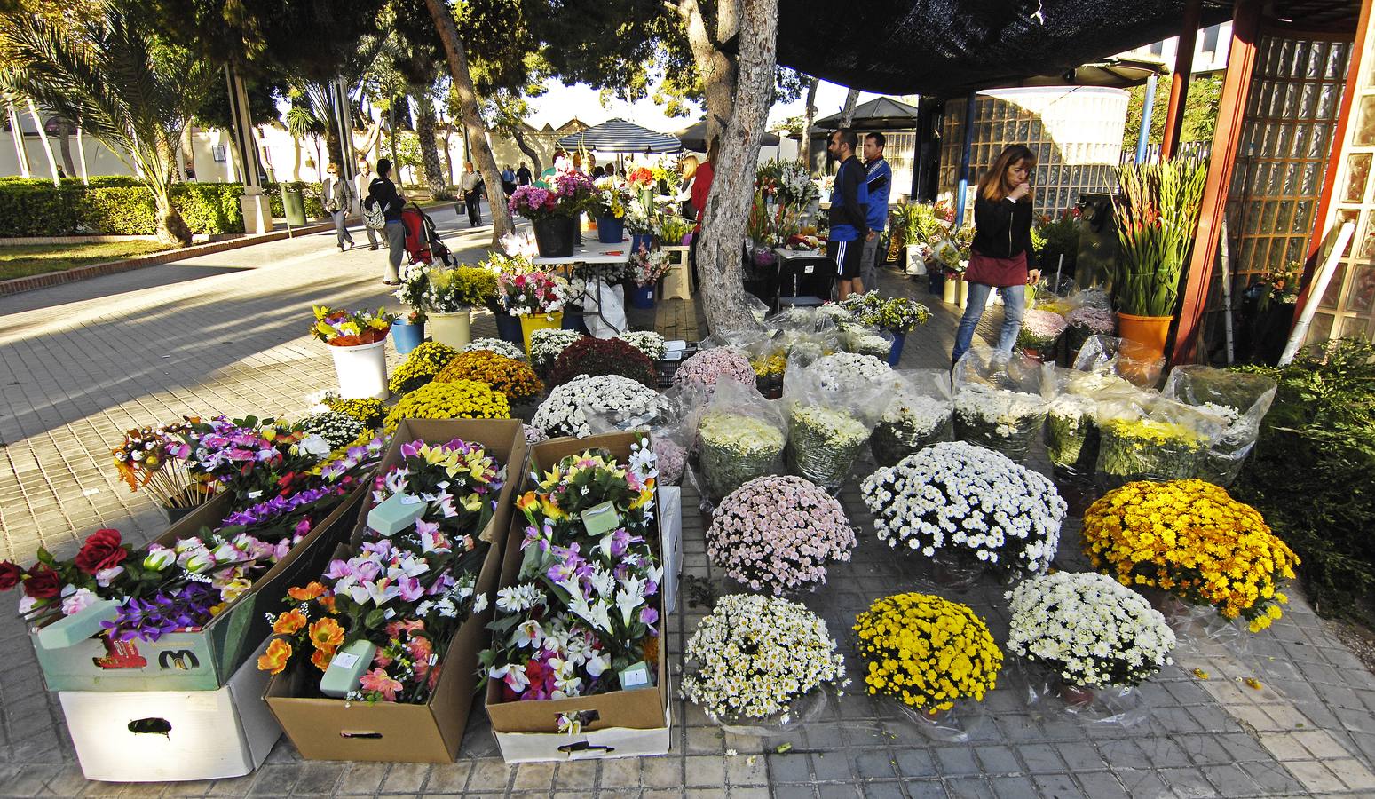 Día de Todos los Santos en Elche