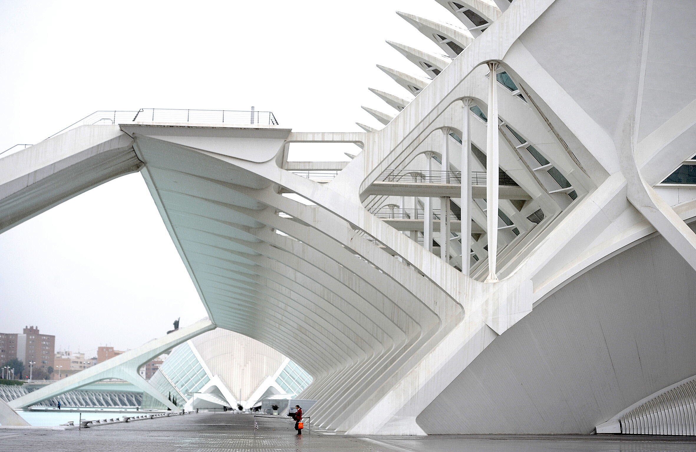 Ciudad de las Artes y de las Ciencias. 