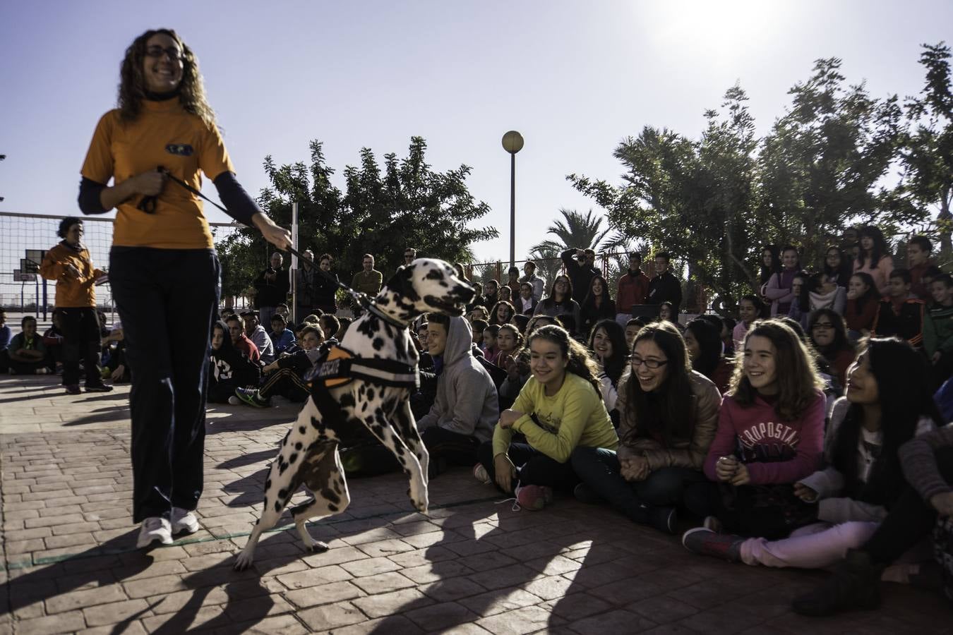 Academia de perros de rescate
