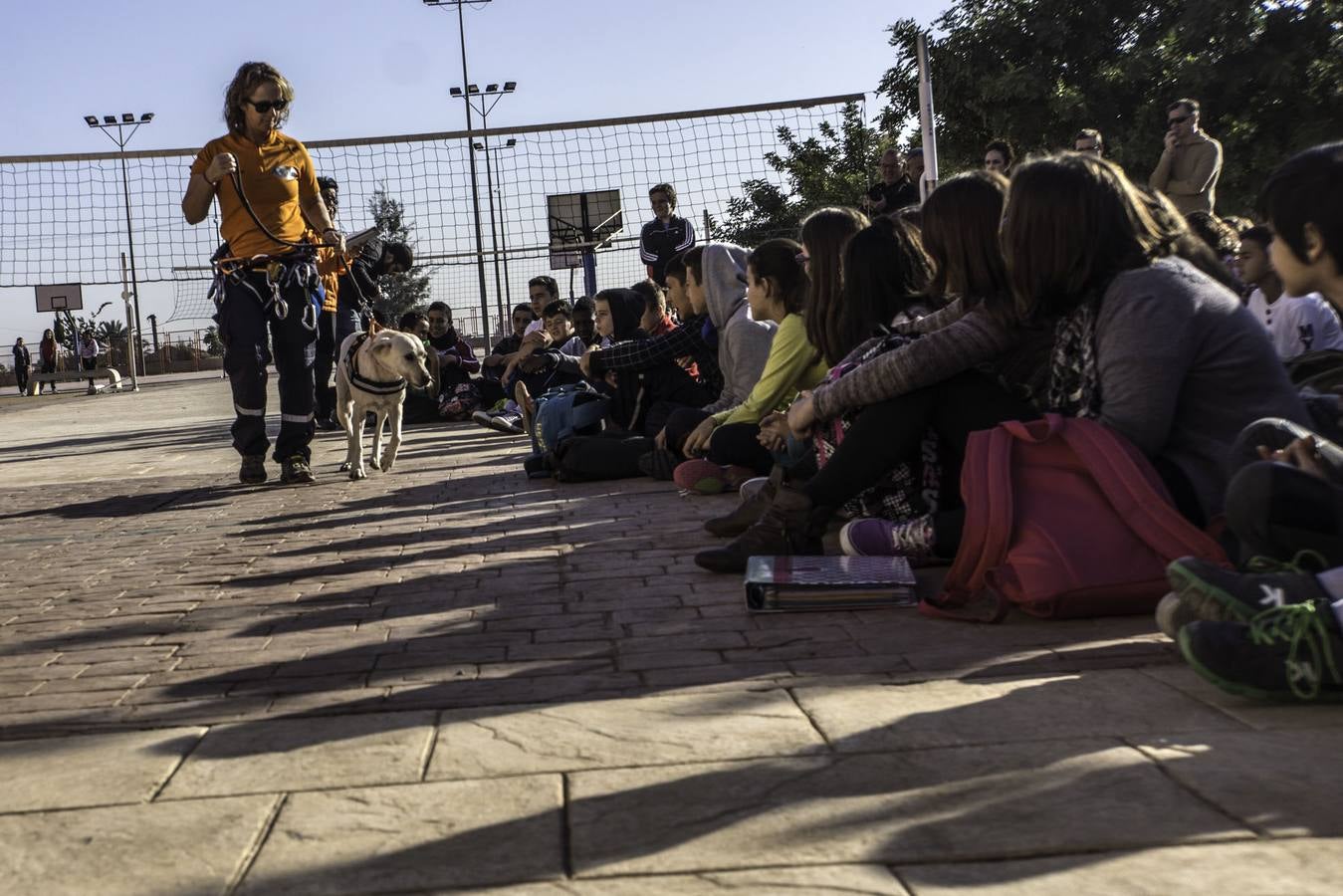 Academia de perros de rescate