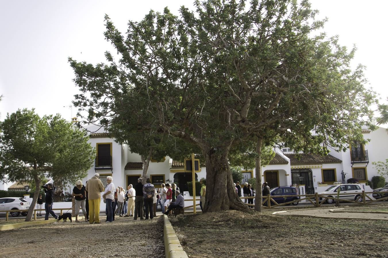 Vecinos en el parque rehabilitado de Villamartín