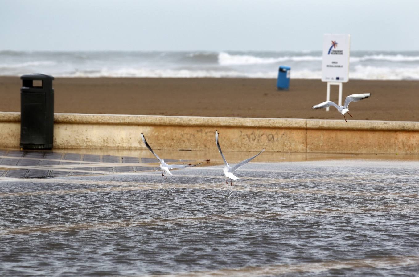 Agua en la playa de Valencia. 